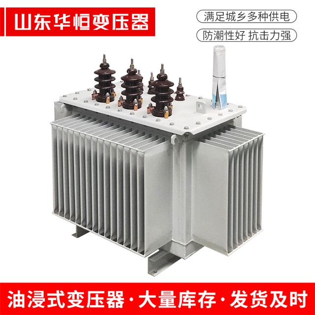 S13-10000/35兰西兰西兰西油浸式变压器厂家